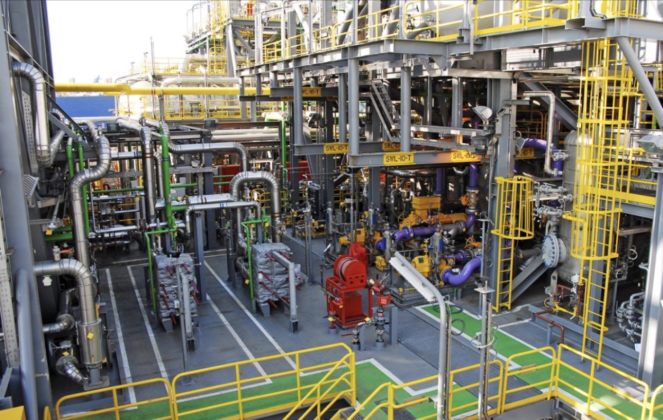 Industrial safety professionals
